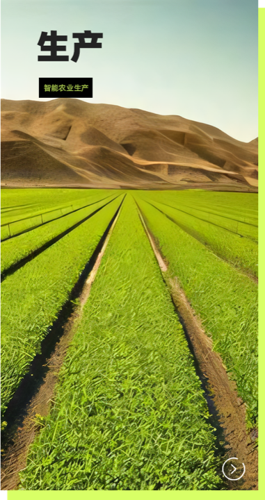 آلة الفرز البصري عالية السرعة AISORT